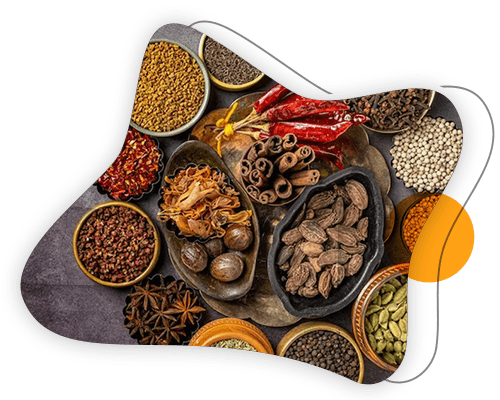 Best Food Processing Machinery Manufacturer In Rajkot