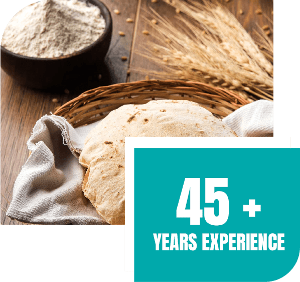 Food Processing Machinery Manufacturer In Rajkot Gujarat